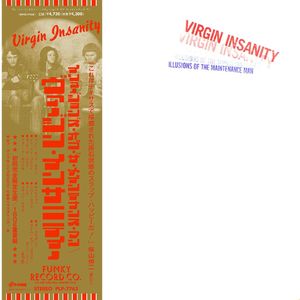 Virgin Insanity: Illusions of the Maintenance Man [LP] - VINYL